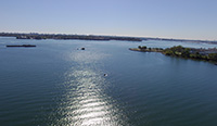 Image Thumbnail
